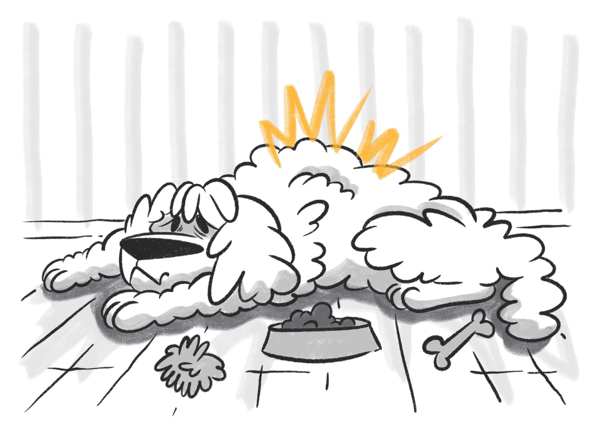 Liver Disease and Failure in Dogs: Causes, Symptoms, and Treatment