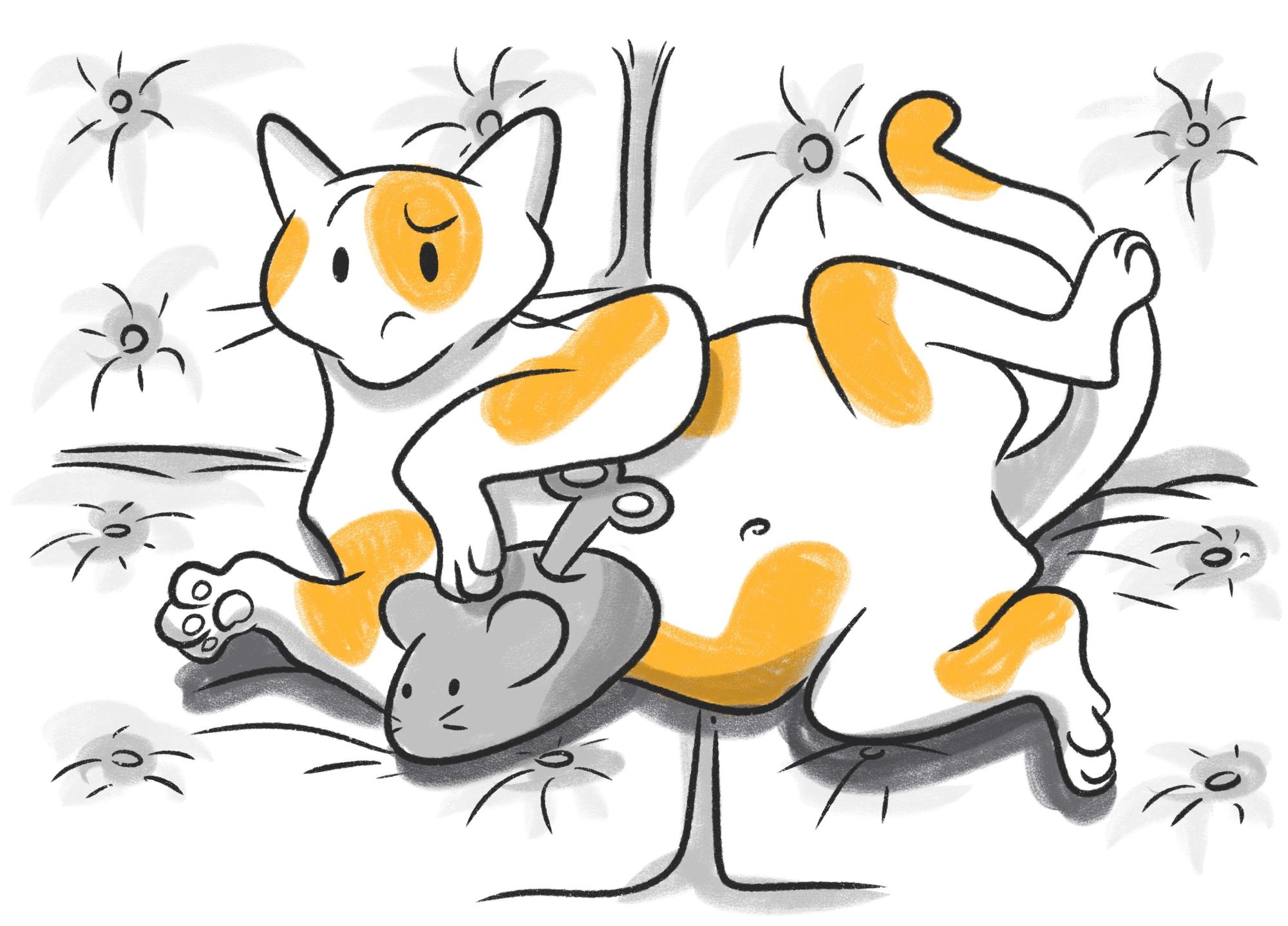 Cat Belly Buttons: Do They Exist?