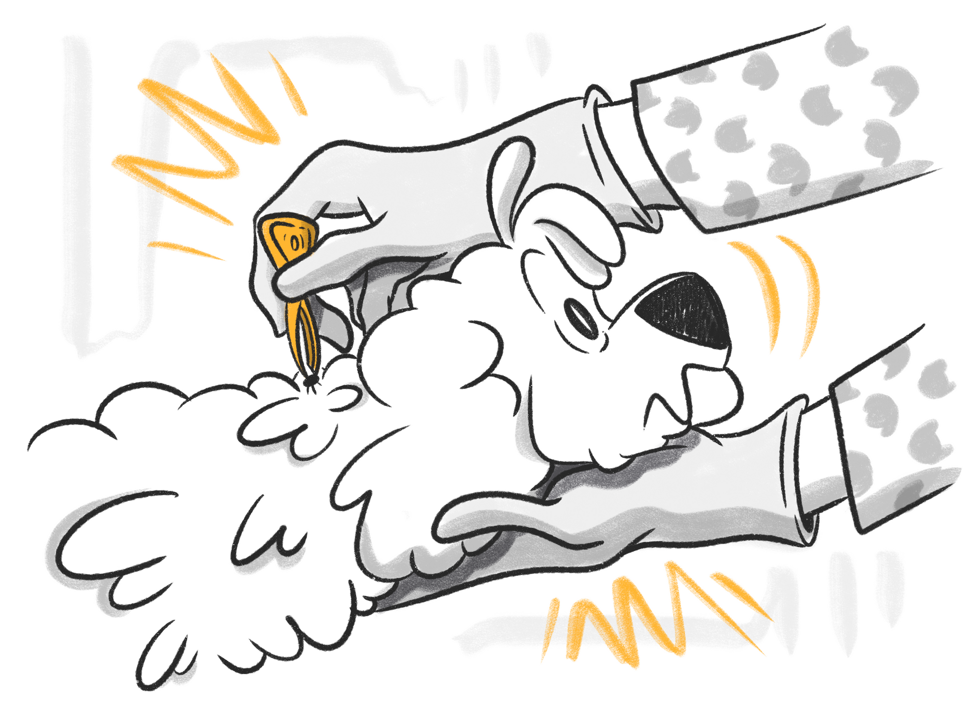 Lyme Disease in Dogs: Causes, Symptoms, Treatment