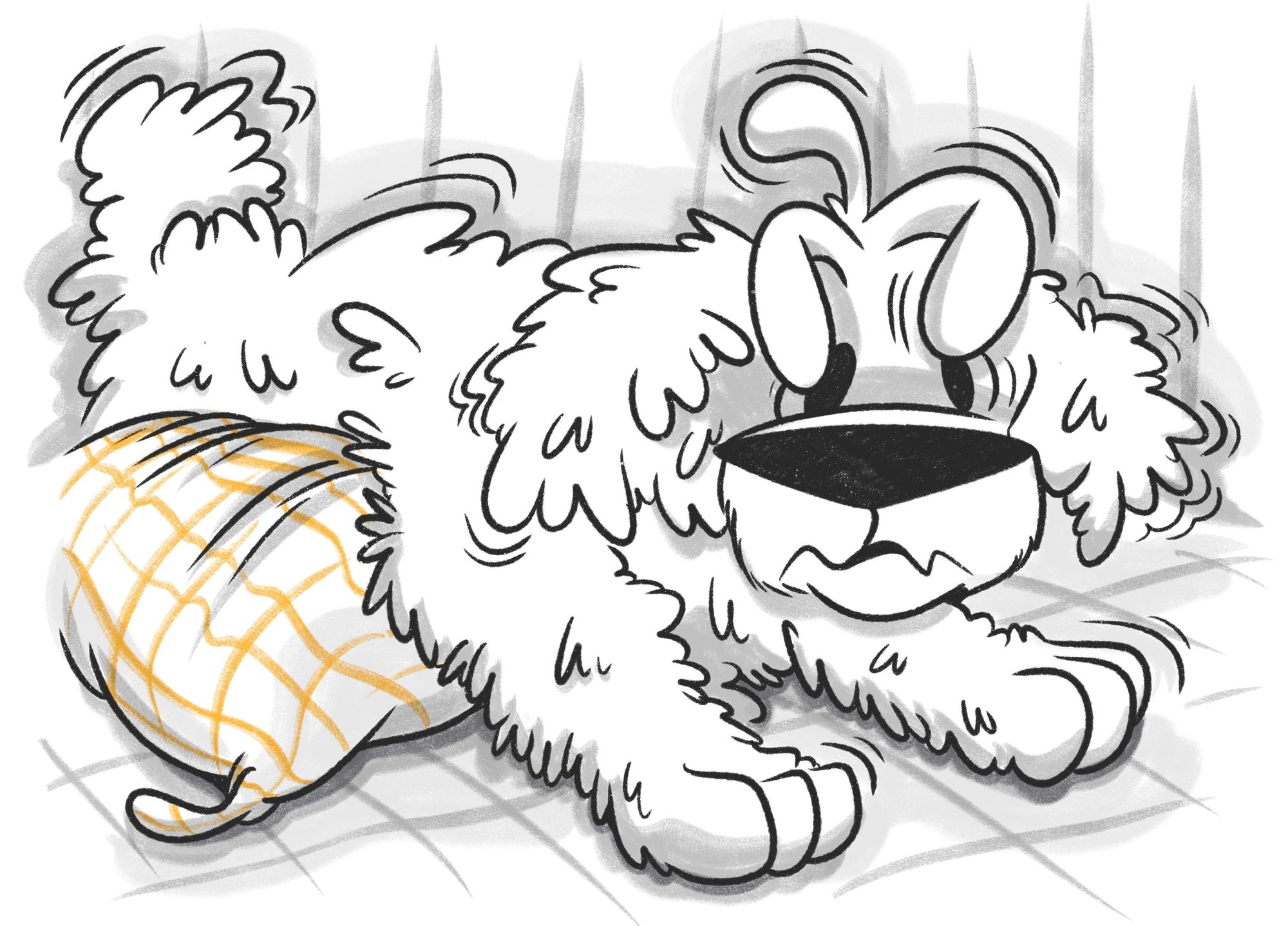 Wobbly Dog Syndrome or Ataxia in Dogs