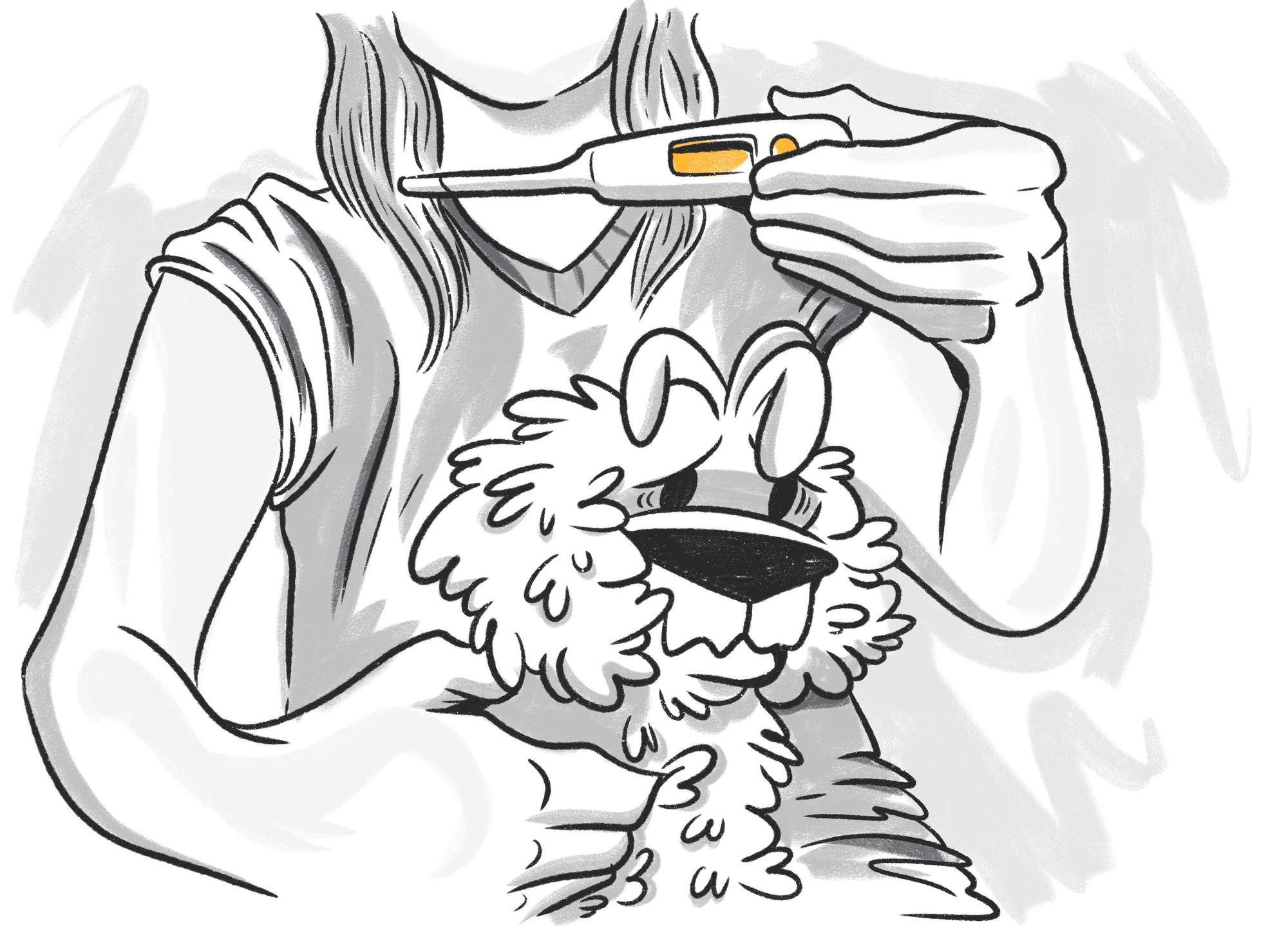 Dog Fever: Everything You Need to Know