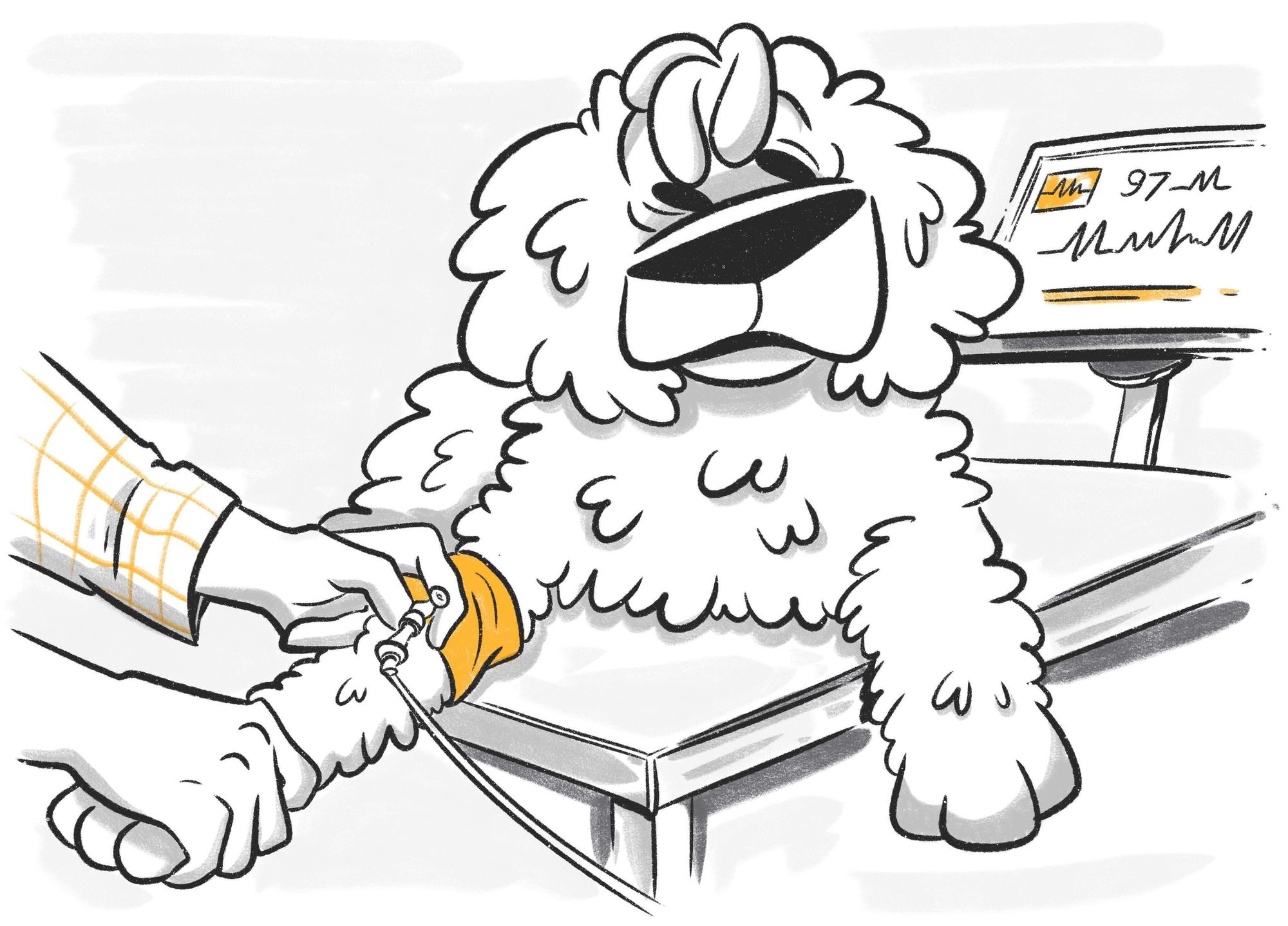 Kidney Disorders and Renal Failure in Dogs