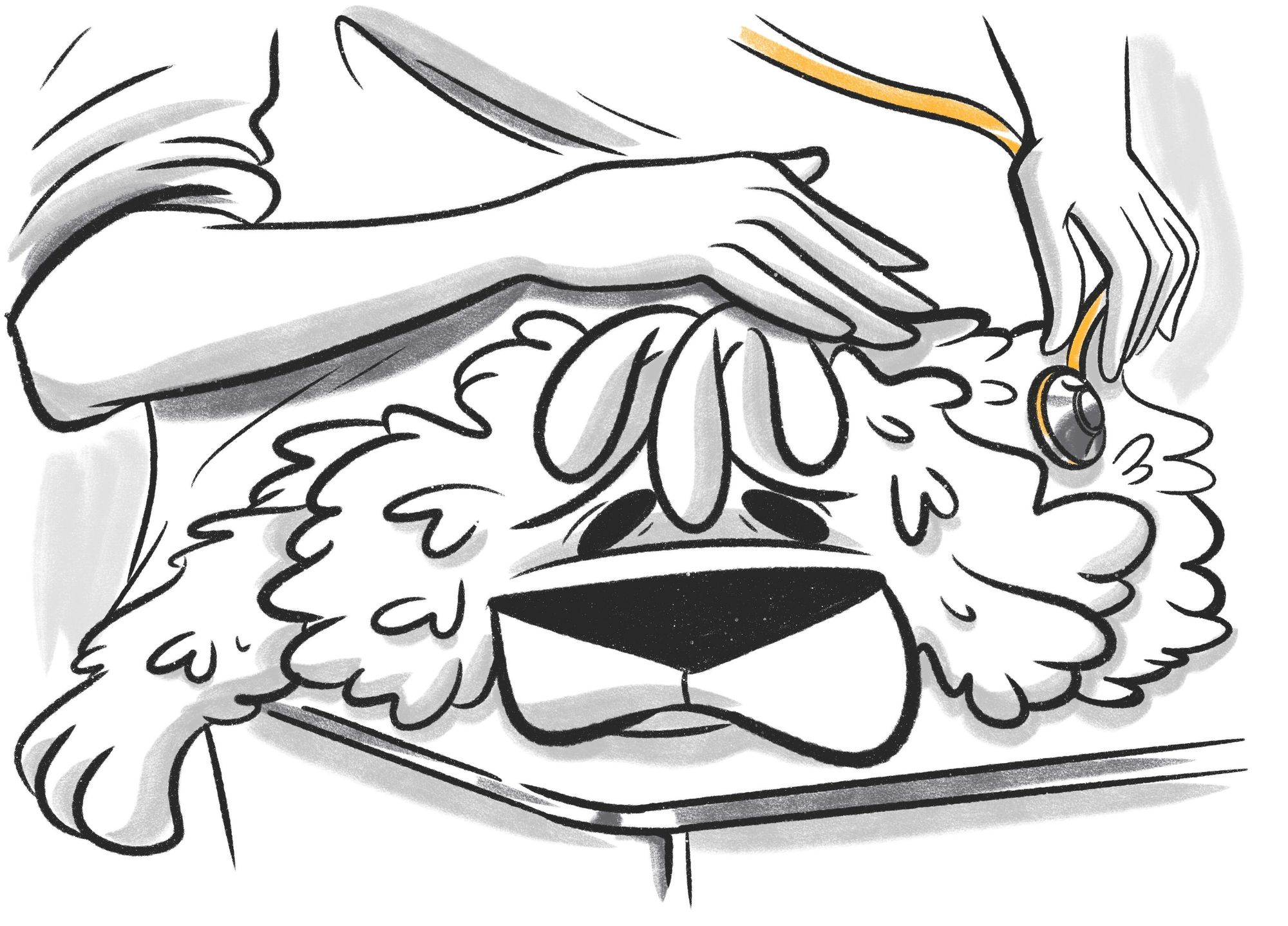 Blastomycosis or Blasto in Dogs