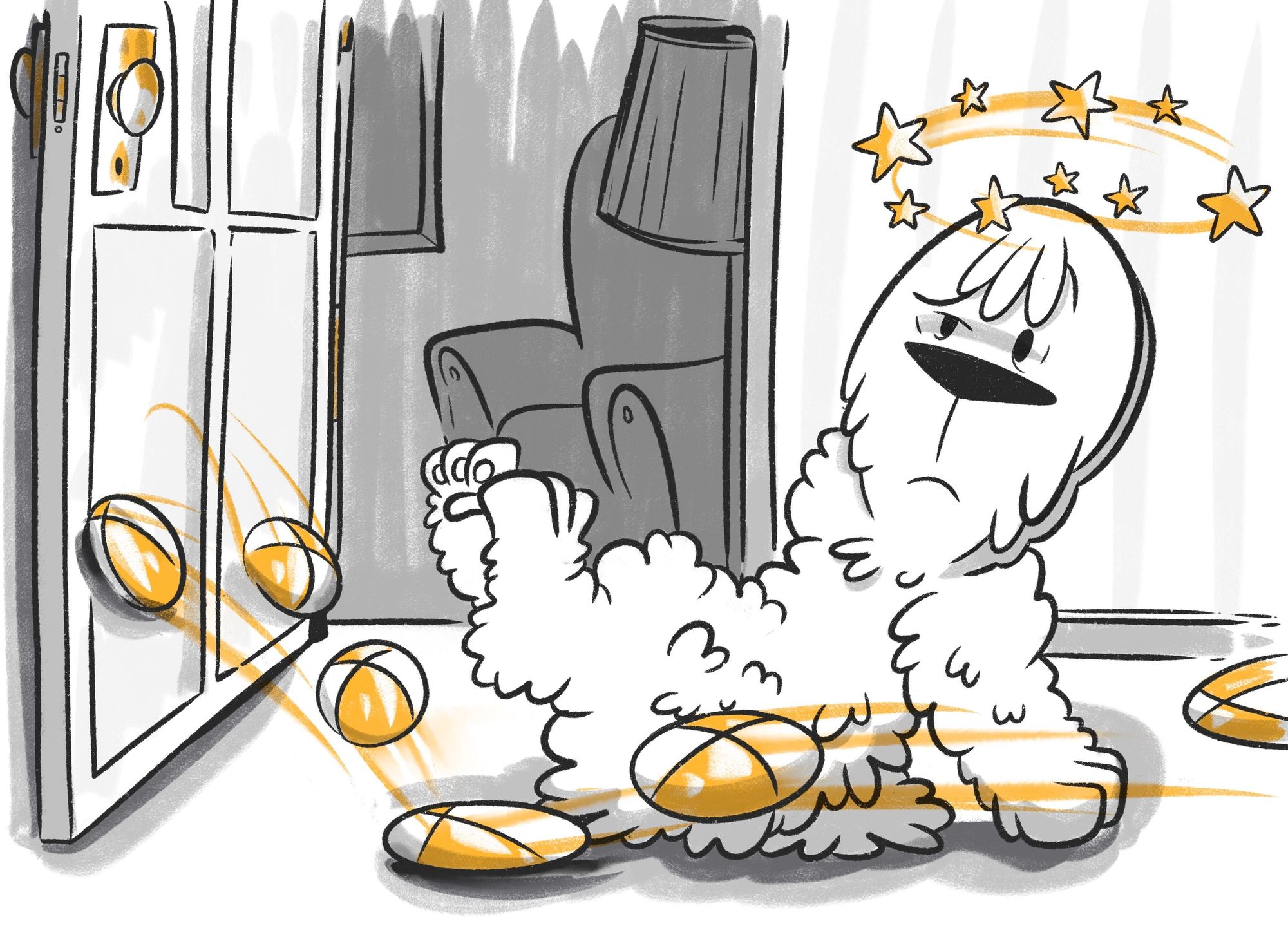 Interesting Facts About Flat-Faced Dogs and Cats