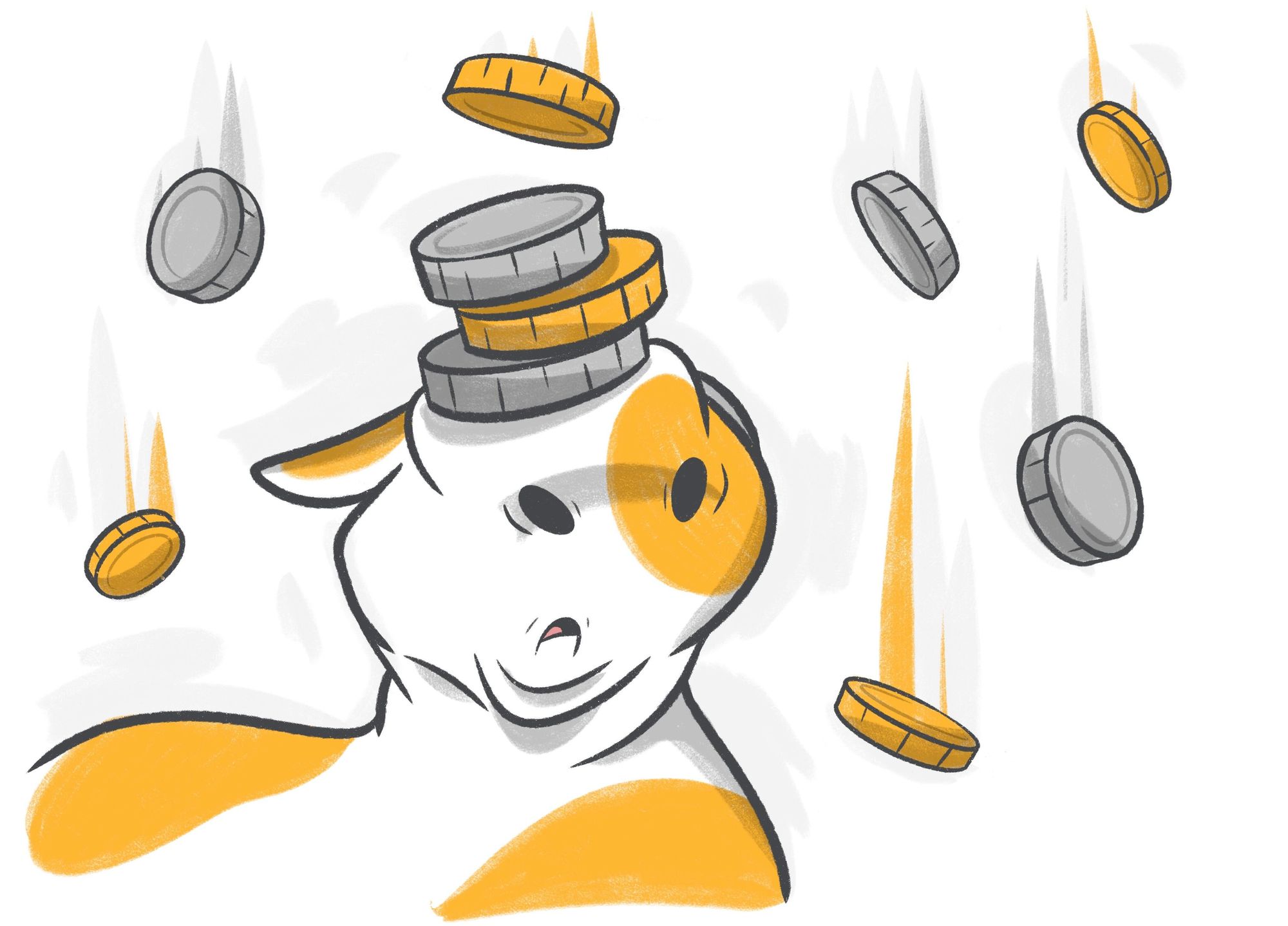 The Average Expenses of Cat Ownership: Food, Vet Visits & Etc