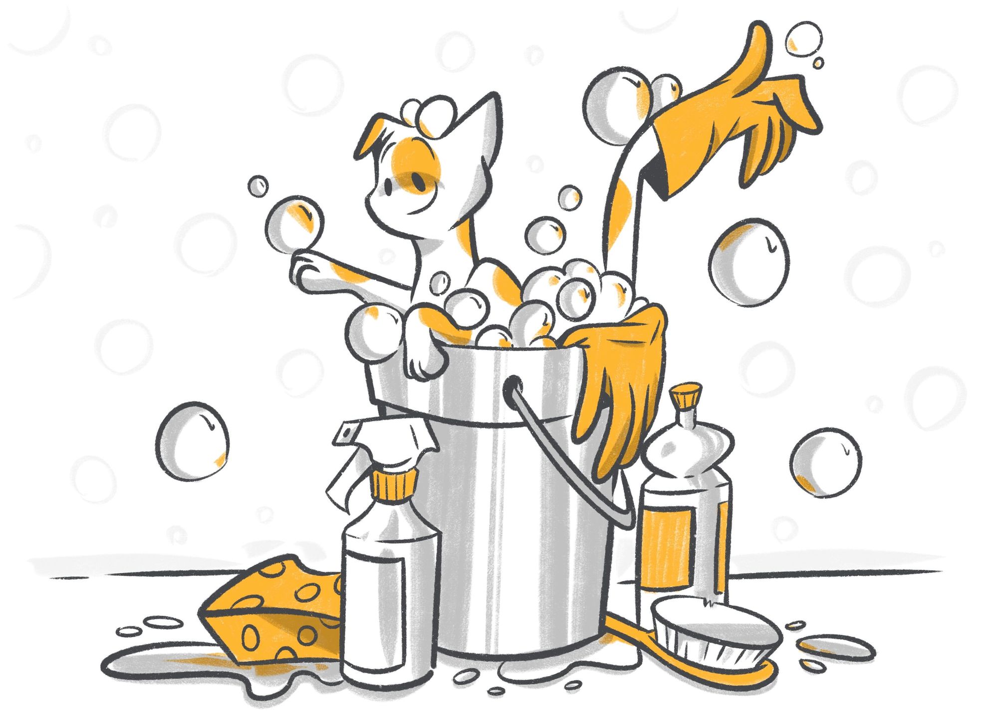 Keeping Your Pet Safe From Household Chemicals