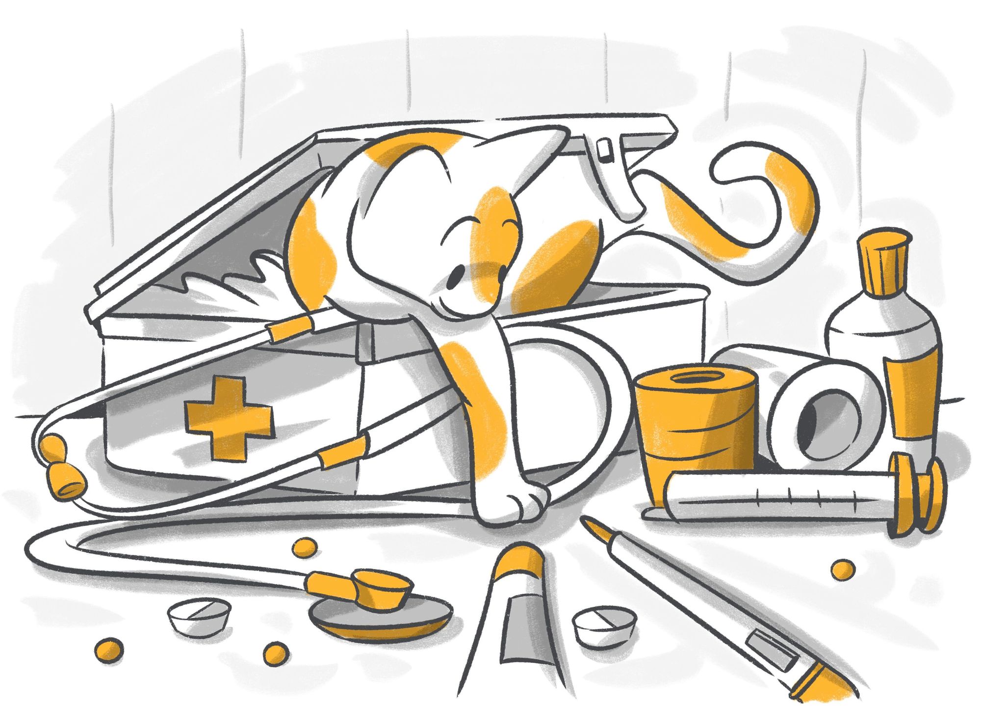 Decoding What’s Covered By Petcube’s Emergency Fund Service