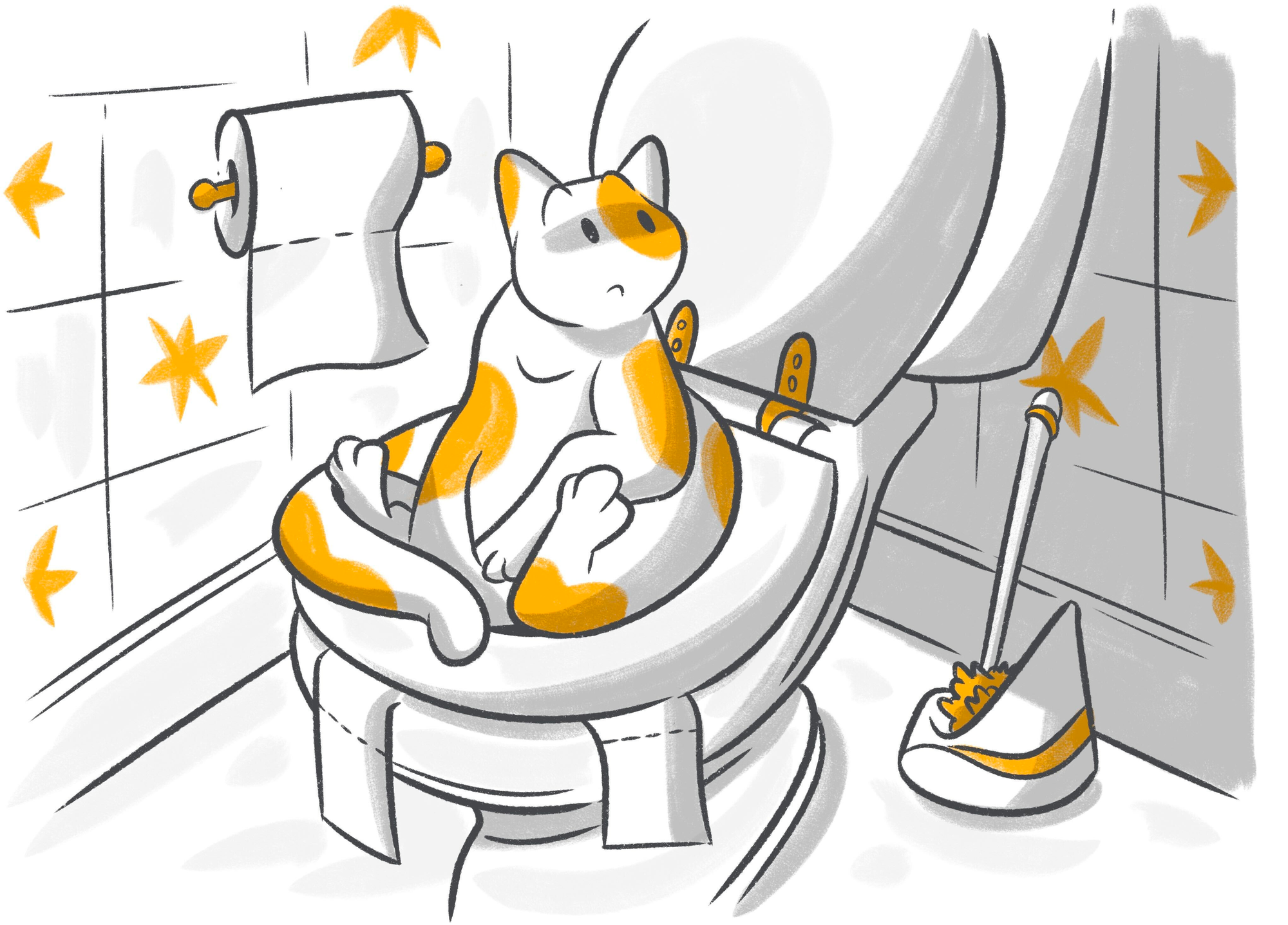 Blood in Cat Stool: What to Do About It?