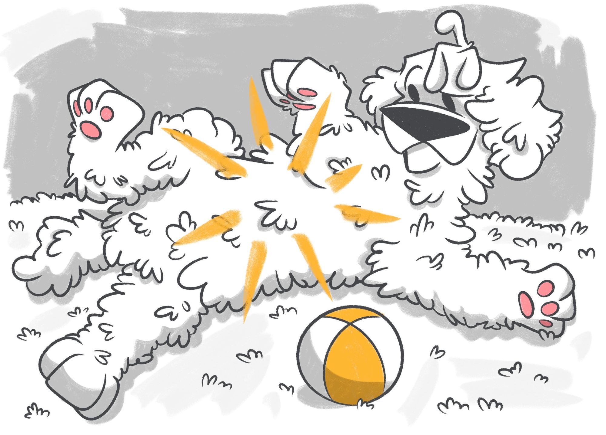 Is Your Dog's Stomach Making Noises? Here's Why