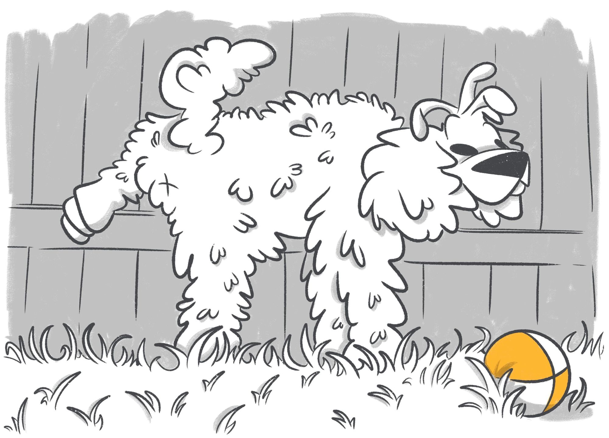 Blood in Dog's Urine: Causes, Diagnosis, and Treatment