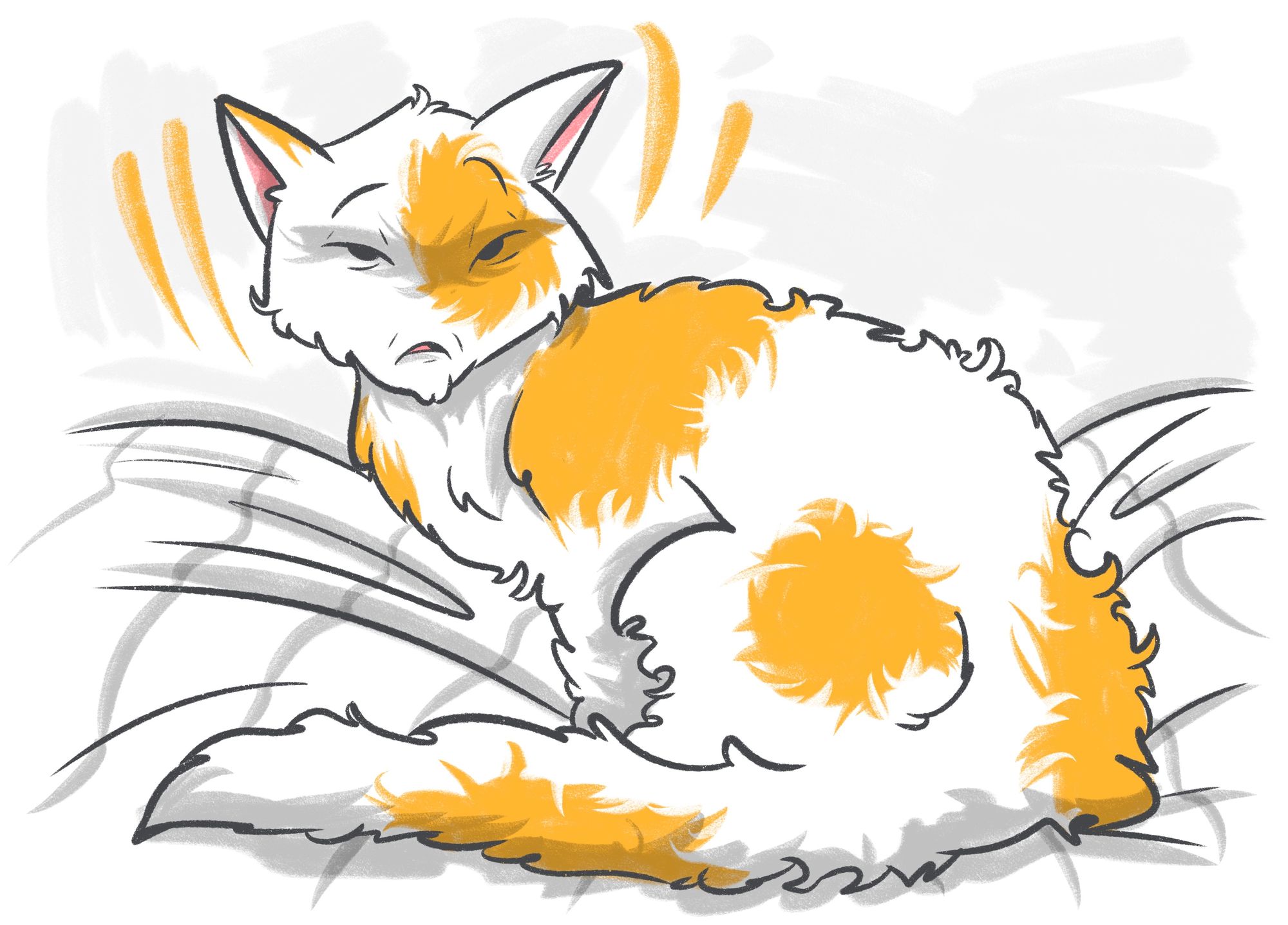 Hyperthyroidism in Cats: Symptoms and Treatment