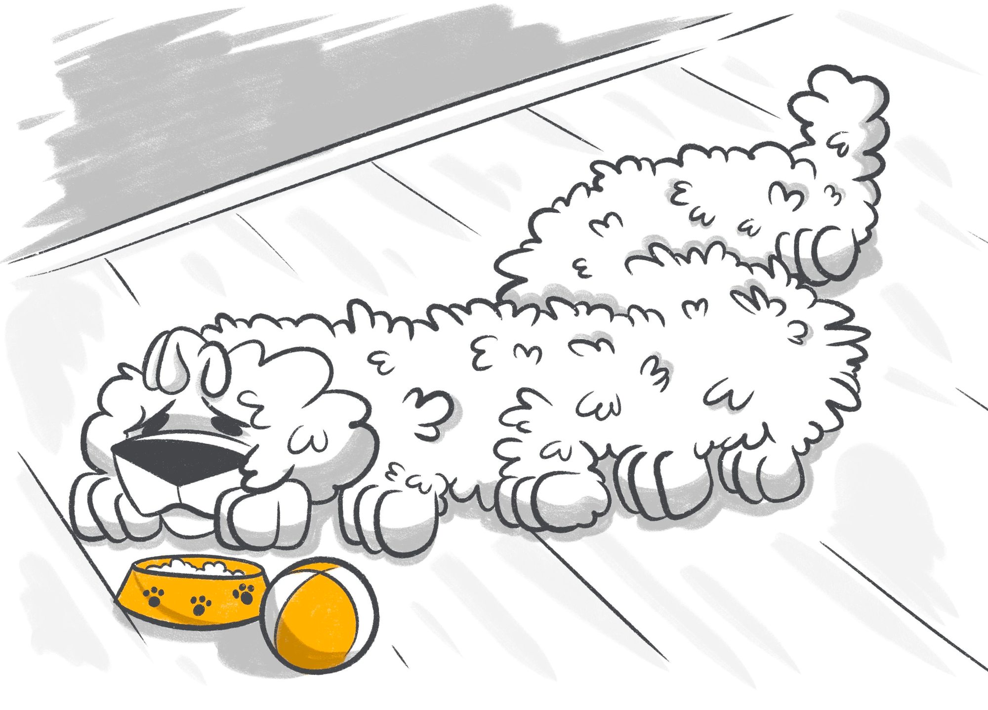 My Dog is Heartworm Positive: Signs, Prevention, and Treatments