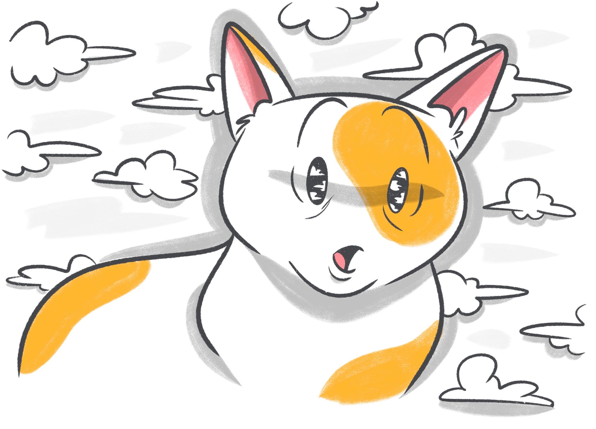 Cloudy Eye In Cat: All You Need to Know