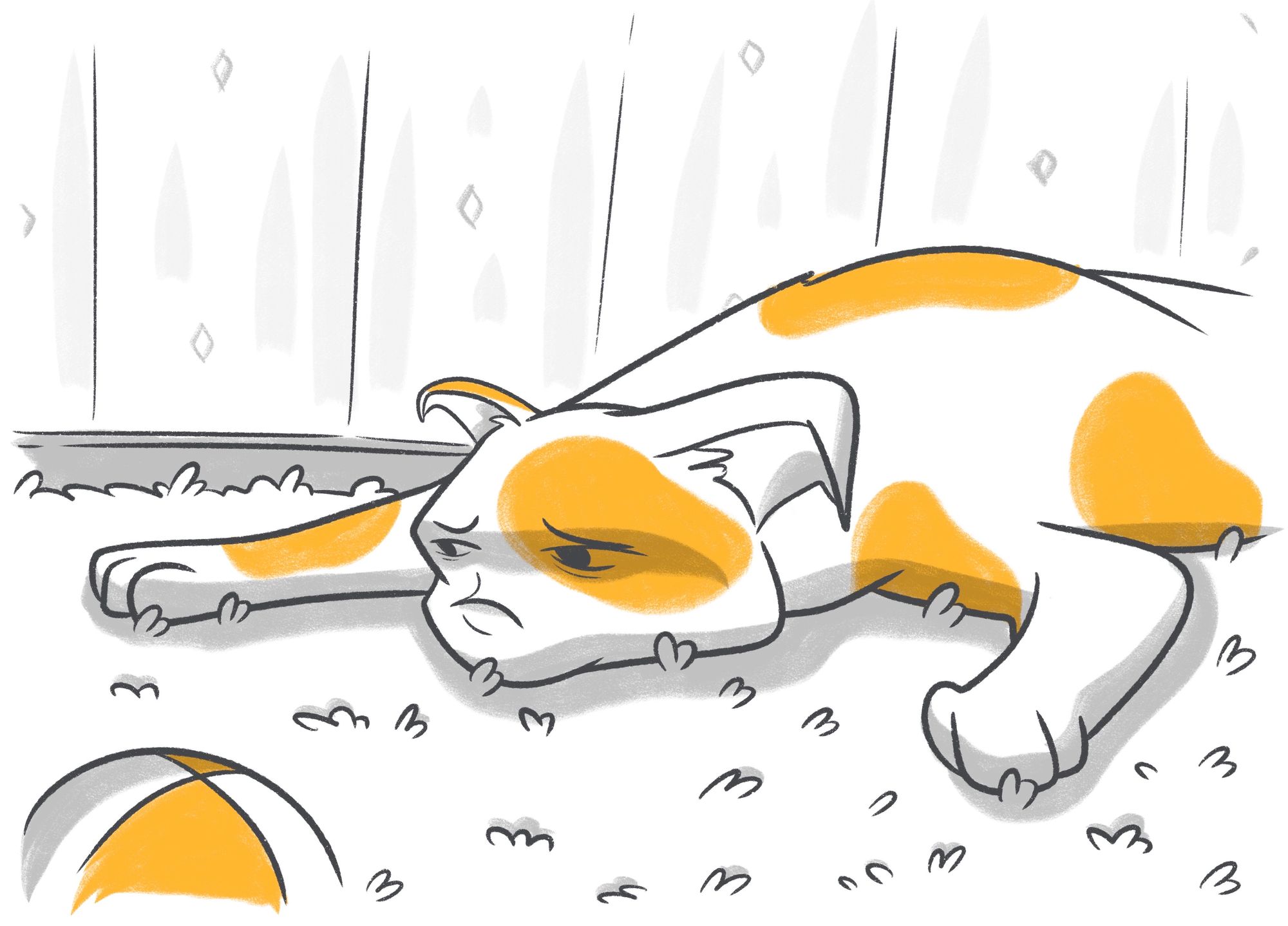 Adverse Effects of Anesthesia on Pets