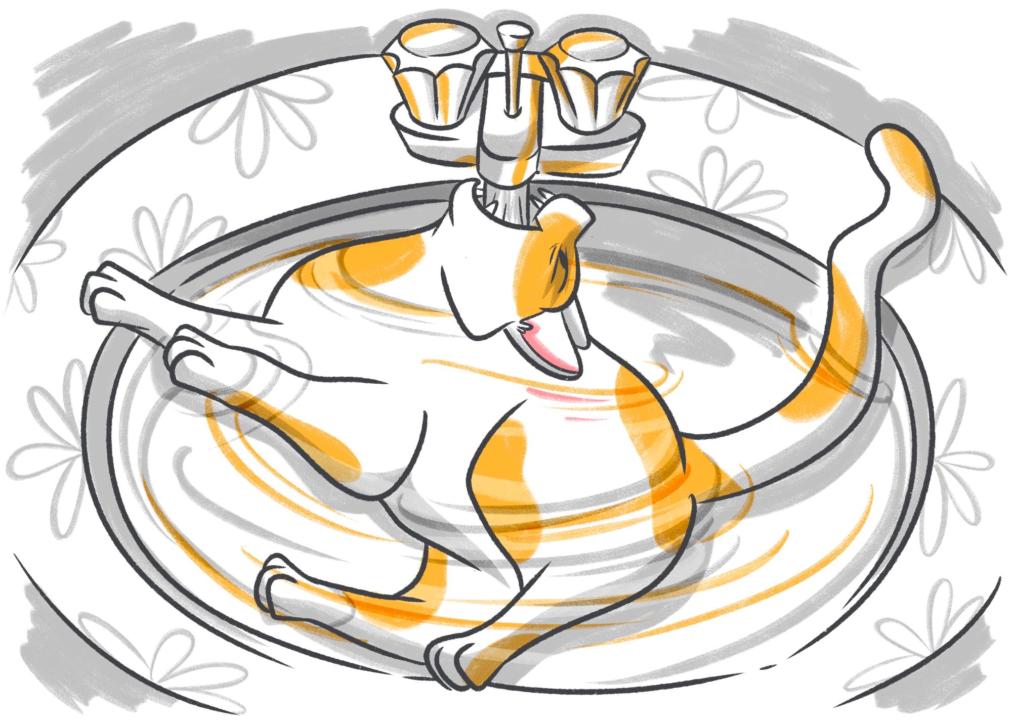 Why Is My Cat Drinking So Much Water? 9 Reasons For Excessive Thirst in Cats