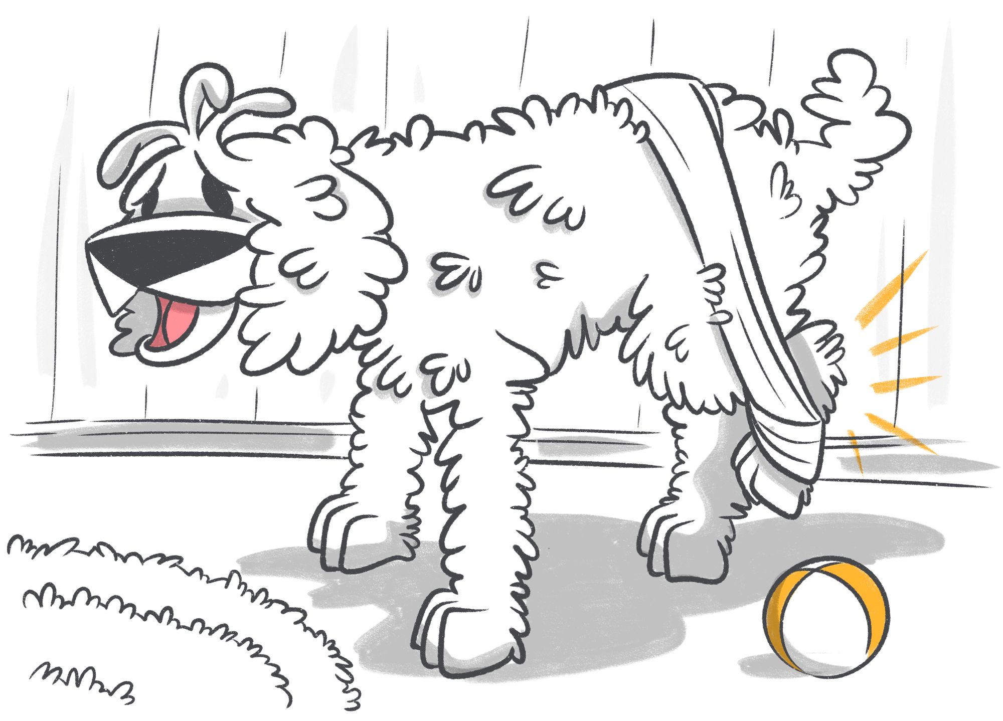 Canine Hip Dislocation