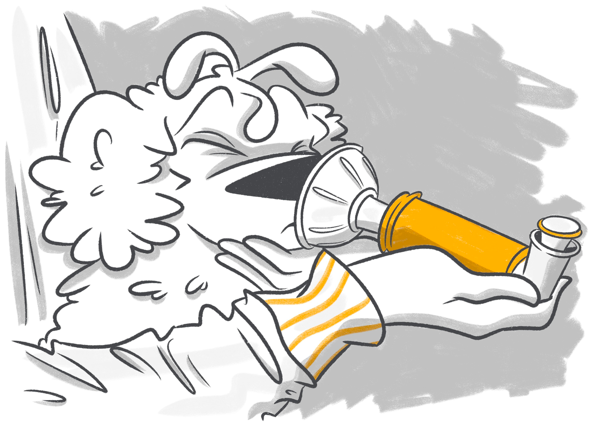 What You Need To Know About Dog Bronchitis