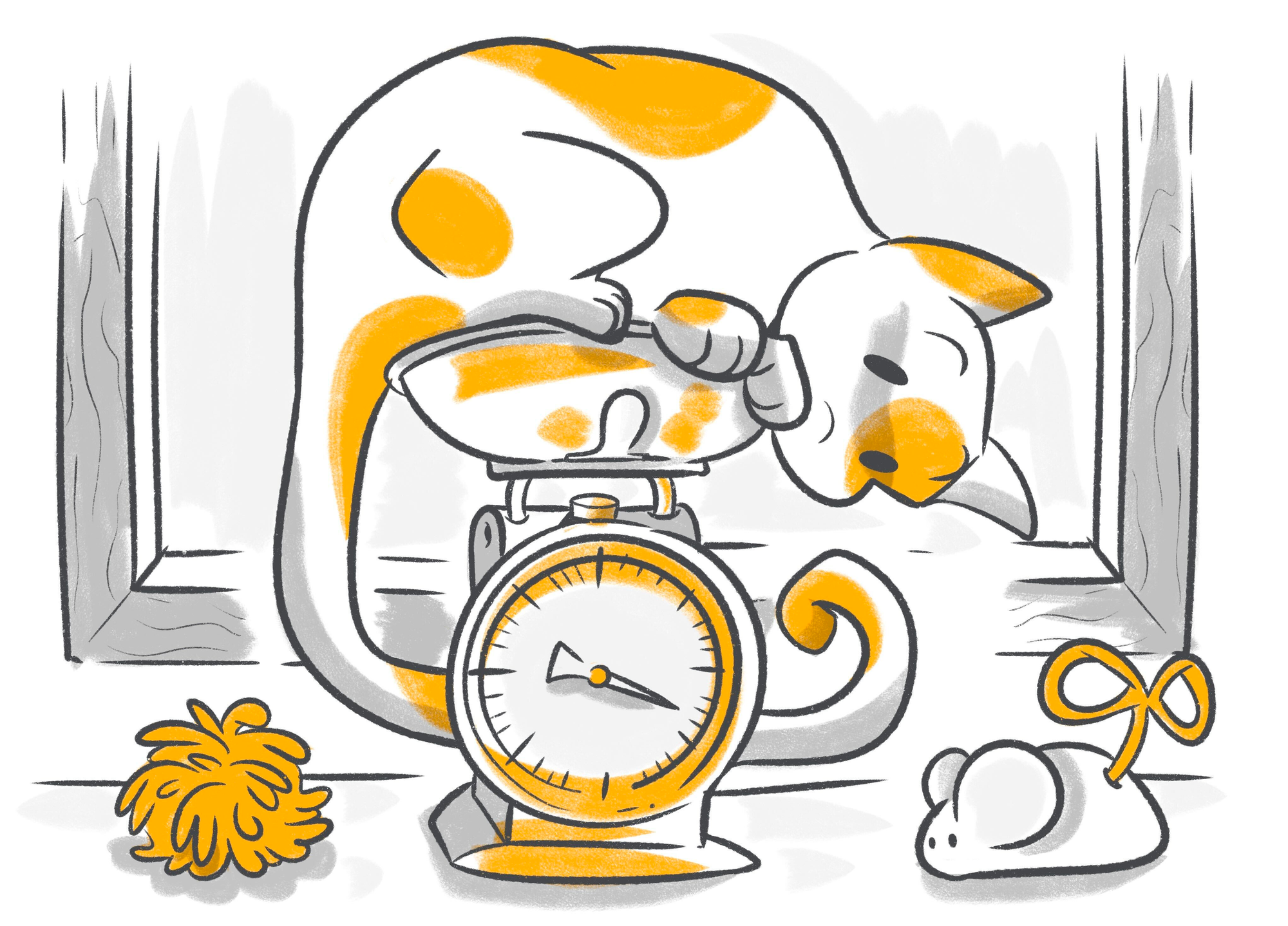 What Causes My Cat to Lose Weight? Answered by The Emergency Fund Vet