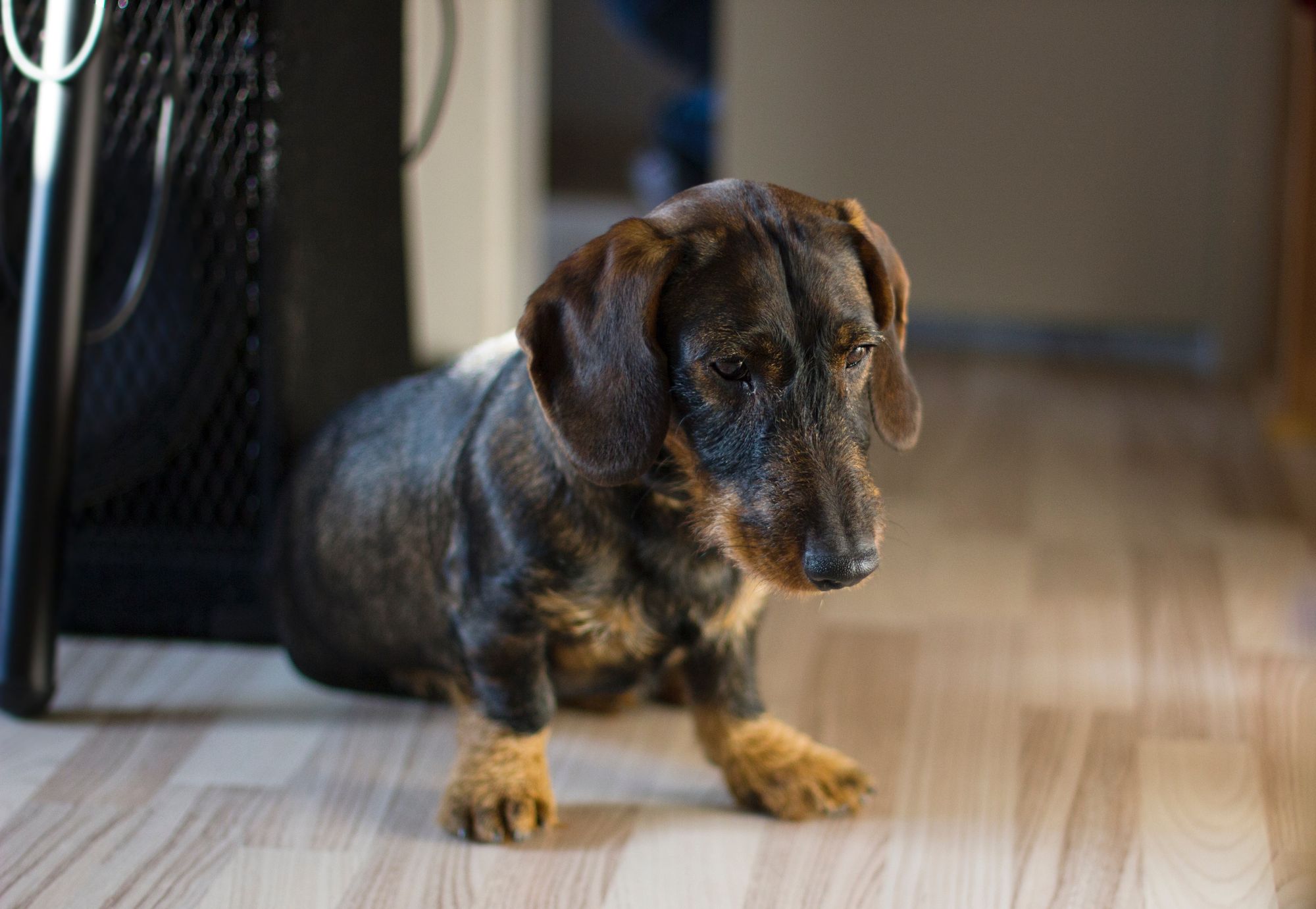 sarah-borkner-z8RHdfLuzPE-unsplash