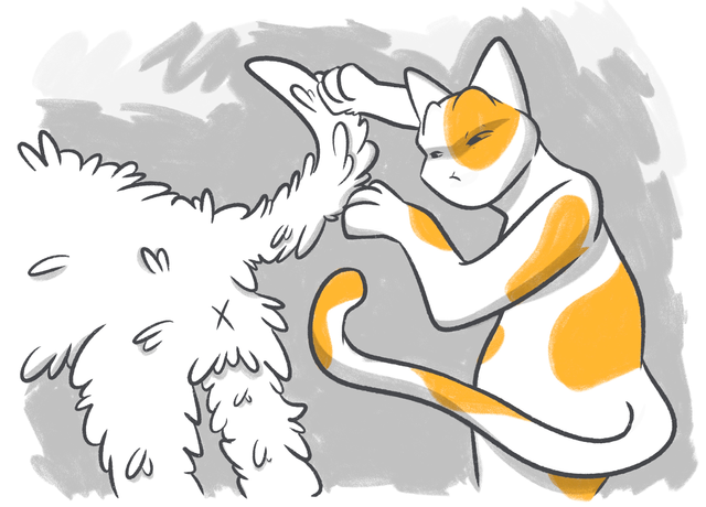 5 Сommon Questions About Dog Tails