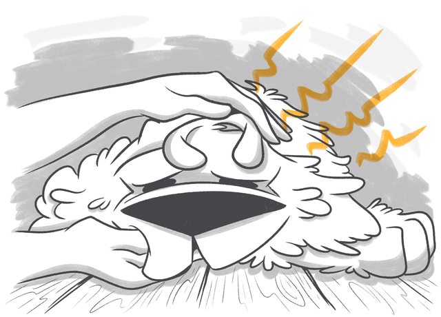 Swollen Lymph Nodes in Dogs: What Does it Mean?