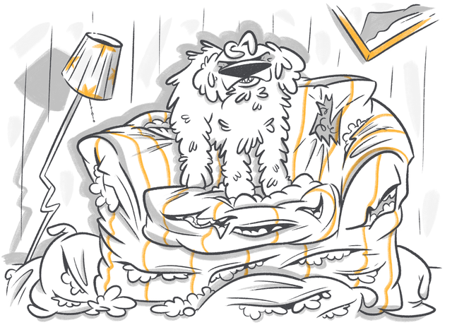 What Causes Dogs to Scratch Couches and Beds?