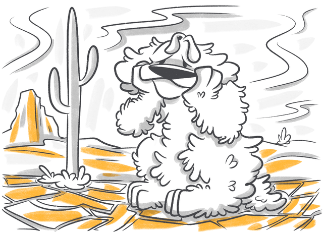 How Long Can Dogs Go Without Food & Water