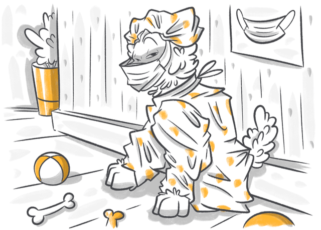 Which Health Problems Are Contagious to Dogs?