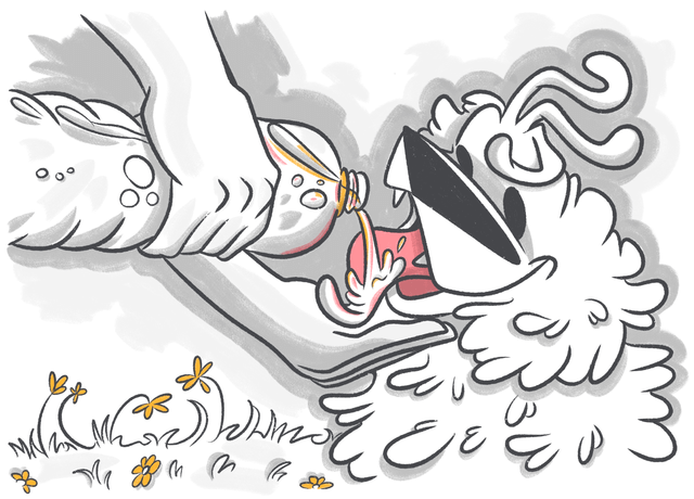 Why Does My Dog Drink So Much Water? Reasons Behind Your Dog's Thirst