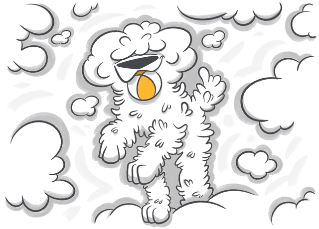 How to Treat Corneal Ulcer in Dogs? Get Answers from the Emergency Fund Vet