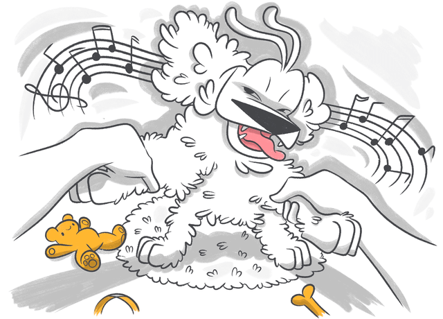 Do Dogs Like Music? How Music Can Enhance the Well-being of Dogs