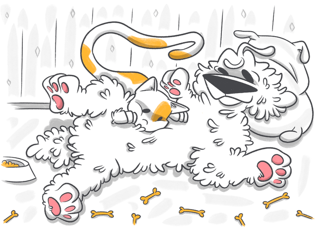 Why Is the Stomach of My Dog Hard?