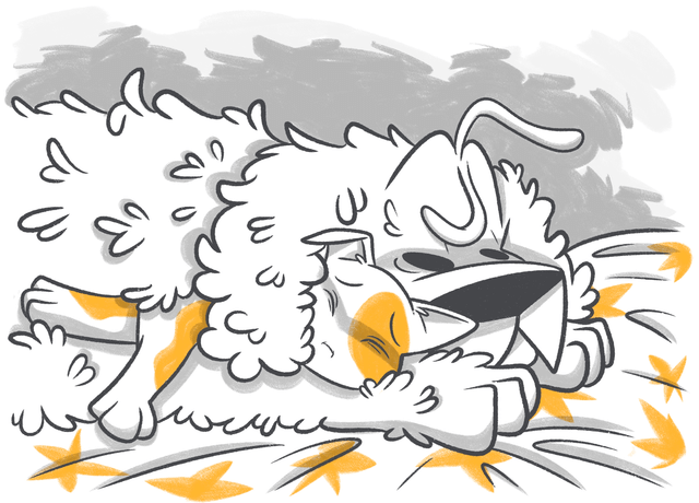 Understanding Kidney Problems in Cats: Causes, Symptoms, and Treatment Options