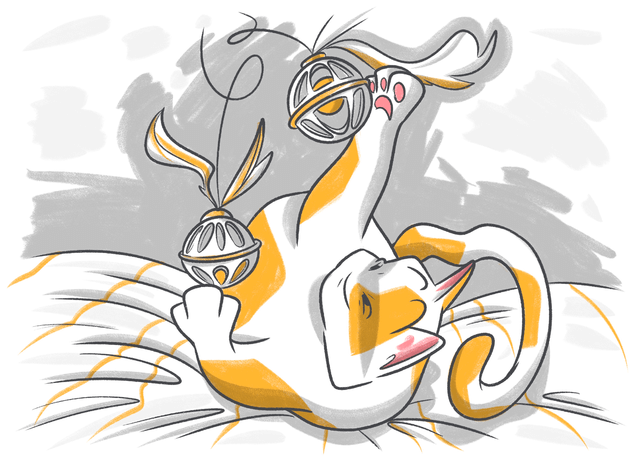 Petcube Emergency Fund vs. Healthy Paws Pet Insurance