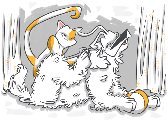 Why Is My Dog Constantly Scratching His Ear?