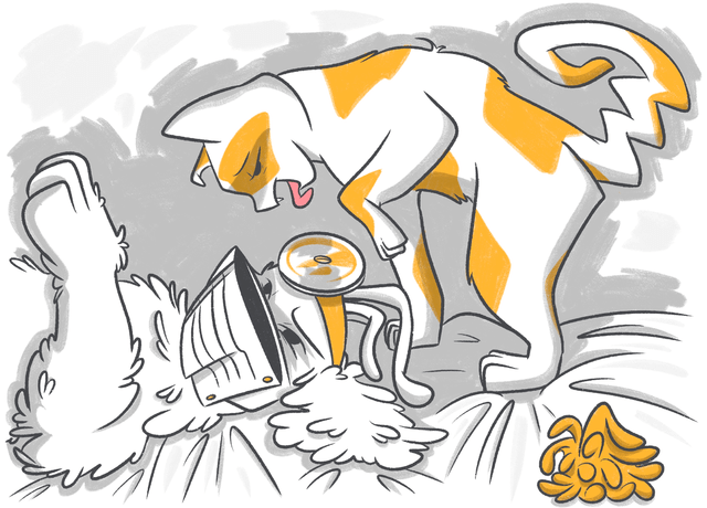 Pneumonia In Cats: Understanding the Causes, Symptoms, and Treatment Options