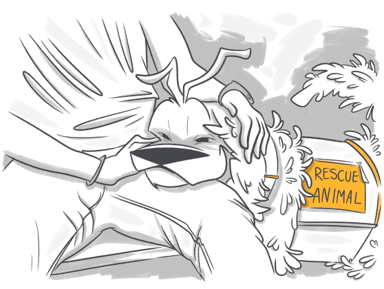 Animal-Assisted Therapy: How Pets Help Recovering Addicts