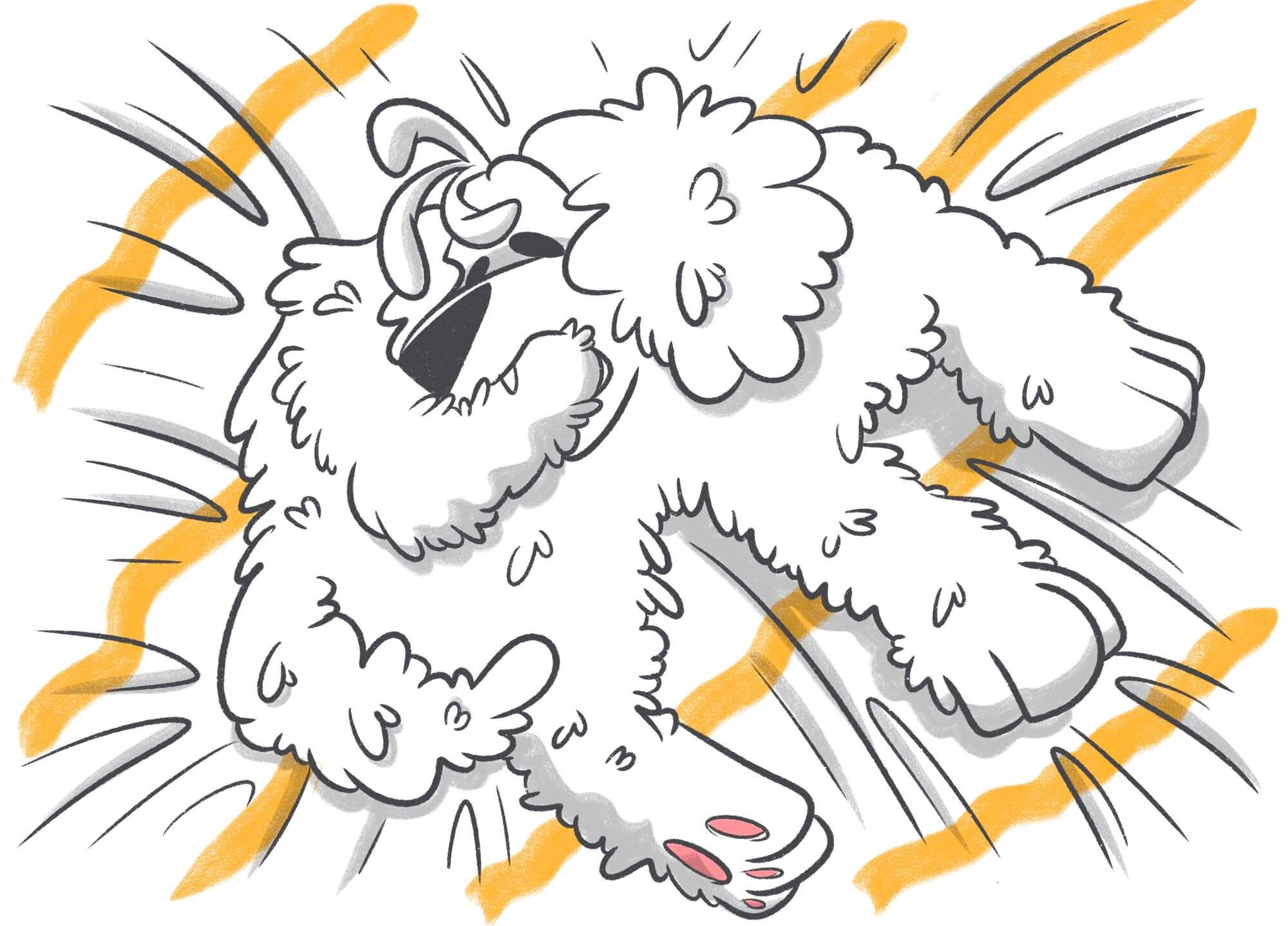 Why Do Dogs Bite Their Paws & Nails?