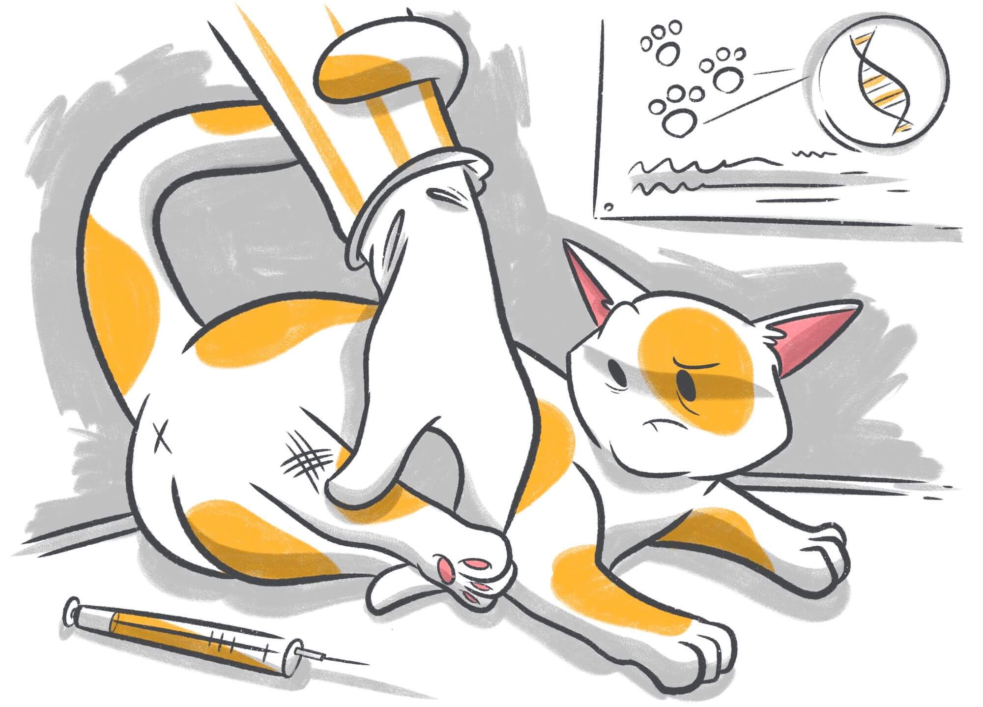 Feline Leukemia Virus: Causes, Symptoms, and Prevention