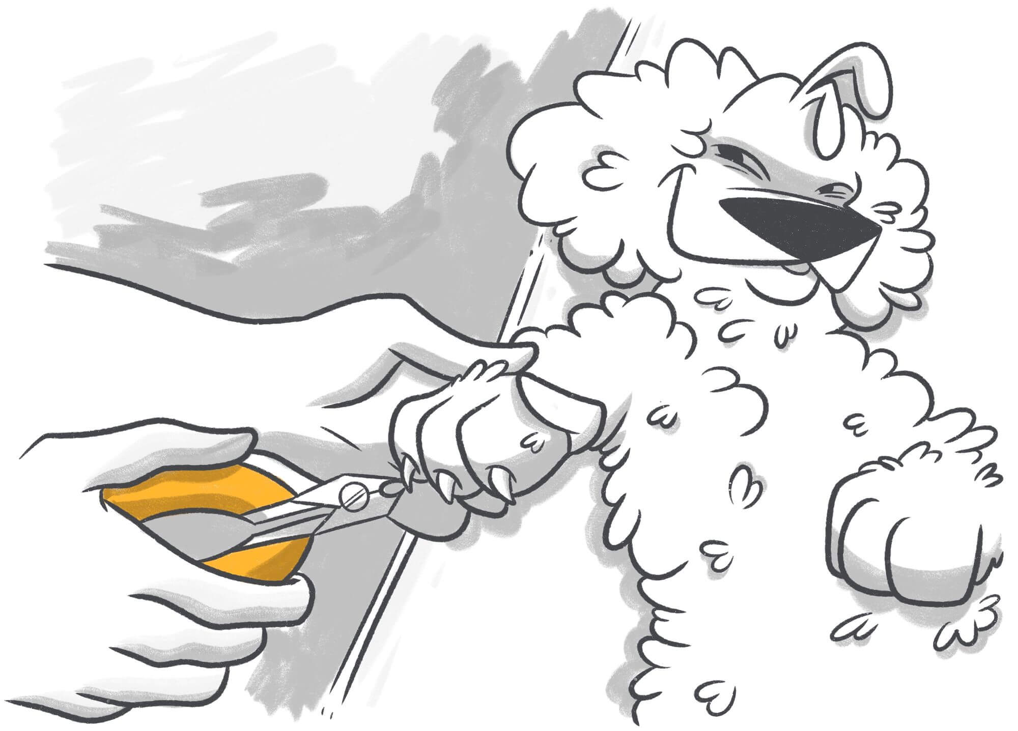 Trimming Your Dog's Nails