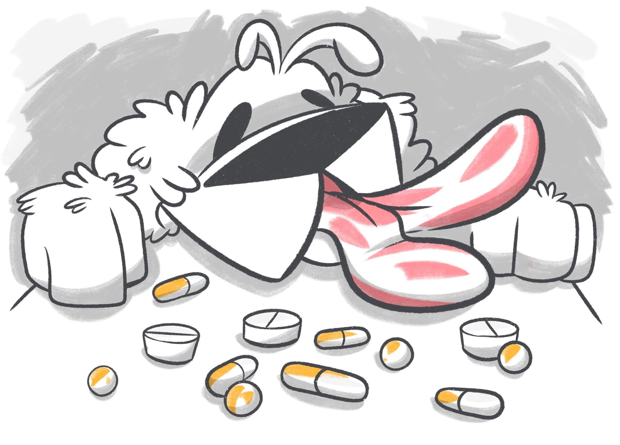 Vitamins Your Dog Needs for a Healthy Life