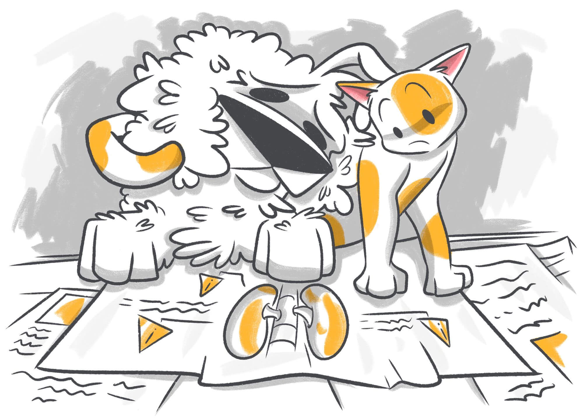 Kidney Problems in Dogs: Signs & Symptoms