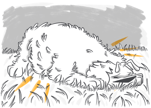 Understanding Ascites in Dogs: Causes, Symptoms, and Treatment Options