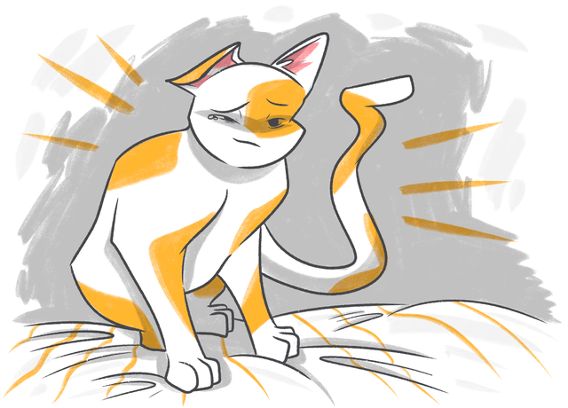 Neoplasia in Pets: Here’s What You Should Know