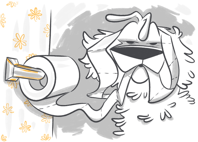 Why Is My Dog Incontinent?