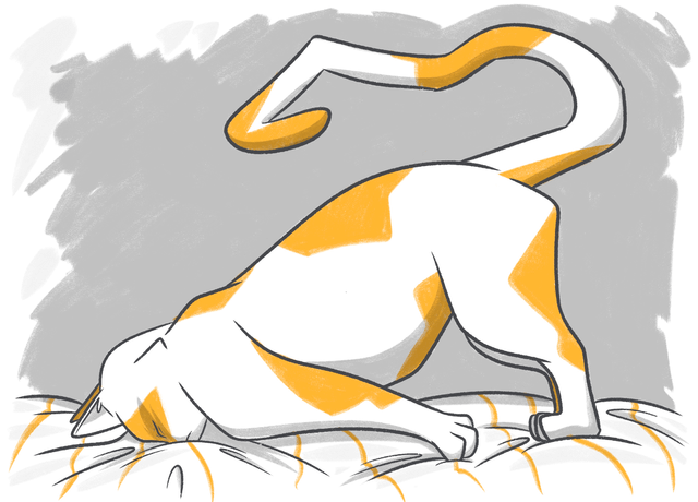 Lethargic Cats: Causes and What to Do