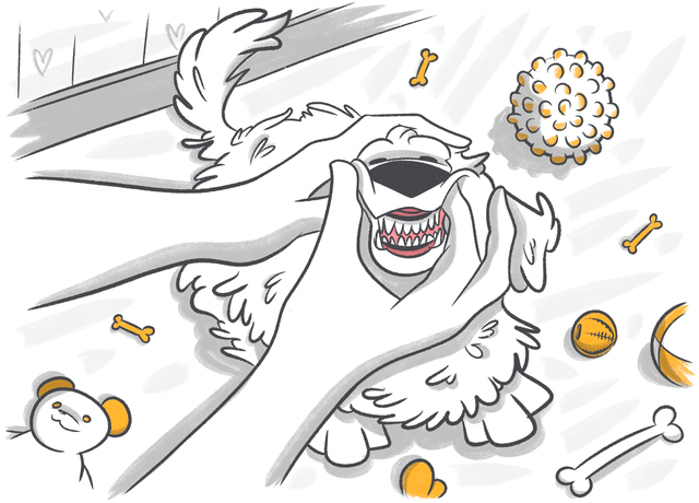 Pale Gums In Cats: Causes & Treatments