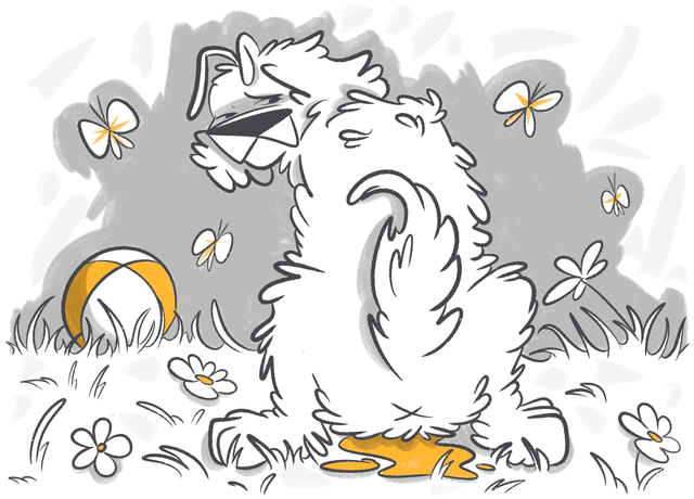 How to Train a Dog to Potty Outside When They Refuse?