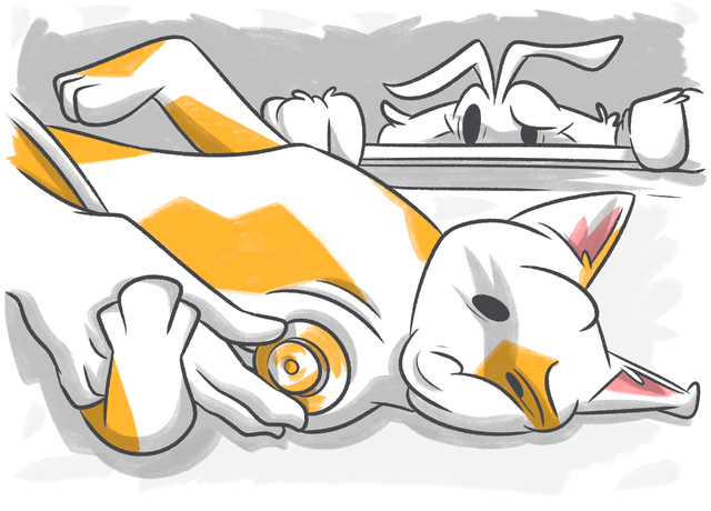 What Is a Normal Heart Rate for Cats?