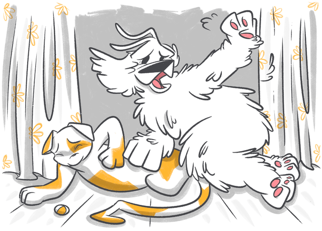 Heart Problems In Cats: Causes, Diagnosis, and Treatment